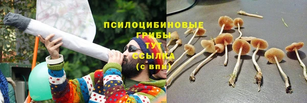 PSILOCYBIN Алзамай